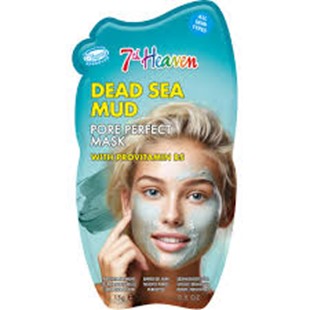 Picture of DEAD SEA MUD MASK